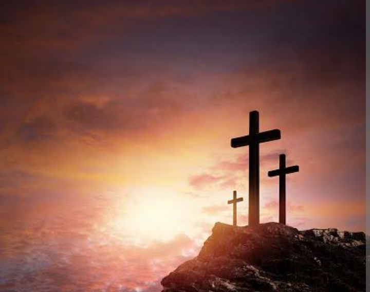 Screenshot_20250423-034829