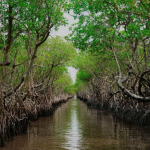 Screenshot_20250520-171005