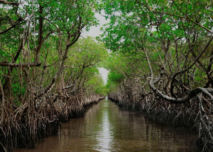 Screenshot_20250520-171005