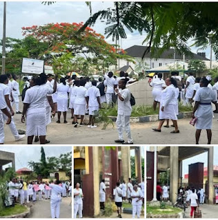 WhatsApp Image 2025-05-21 at 22.56.13