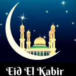 Screenshot_20250608-171021