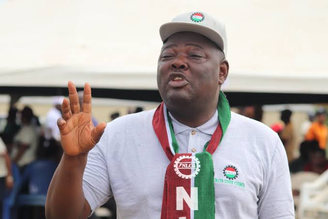 WhatsApp Image 2025-08-21 at 16.16.43