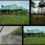 Screenshot_20250919_111538_Gallery