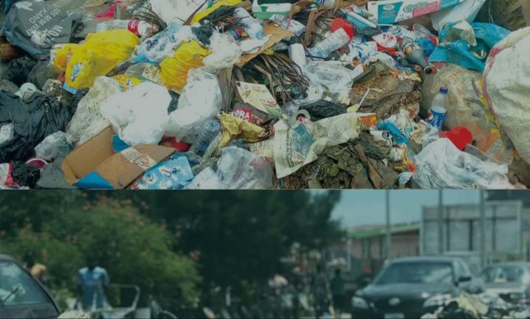 WhatsApp Image 2025-09-04 at 09.16.38