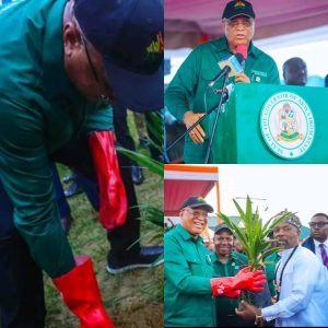 Tree Planting